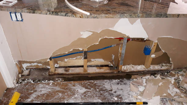 Best Water damage cleanup near me  in Wright, WY