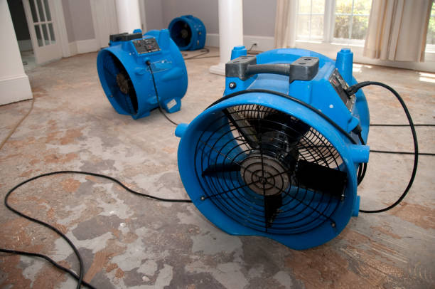 Best Water damage restoration near me  in Wright, WY
