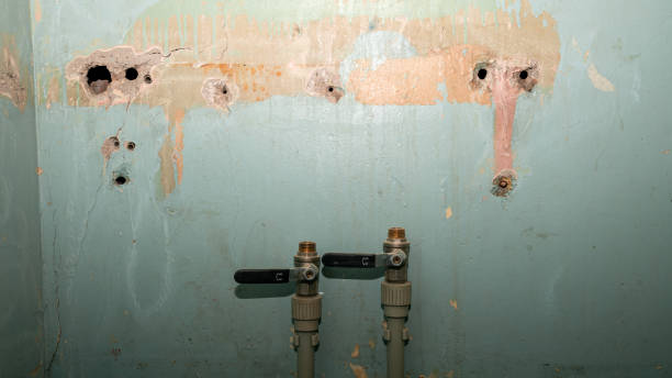 Best 24-hour water damage restoration  in Wright, WY