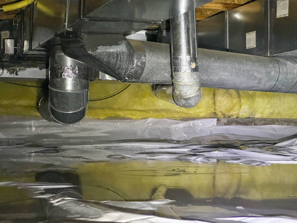 Best Basement water damage restoration  in Wright, WY