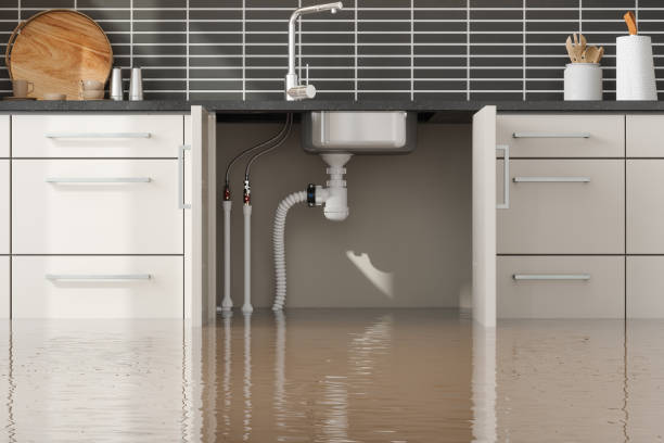 Best Flood restoration services  in Wright, WY