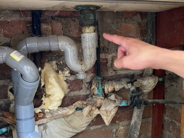 Best Sewage cleanup and water damage restoration  in Wright, WY