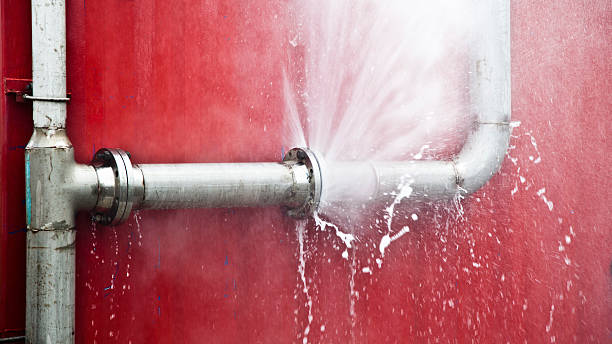 Best Professional water damage repair  in Wright, WY