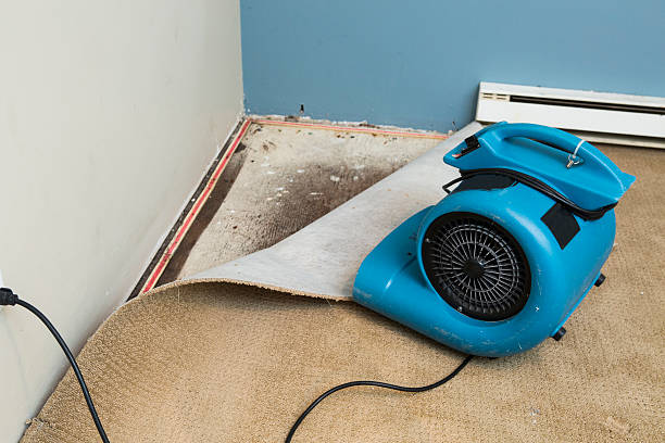 Best Residential water damage restoration  in Wright, WY