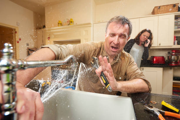 Best Water damage mitigation services  in Wright, WY